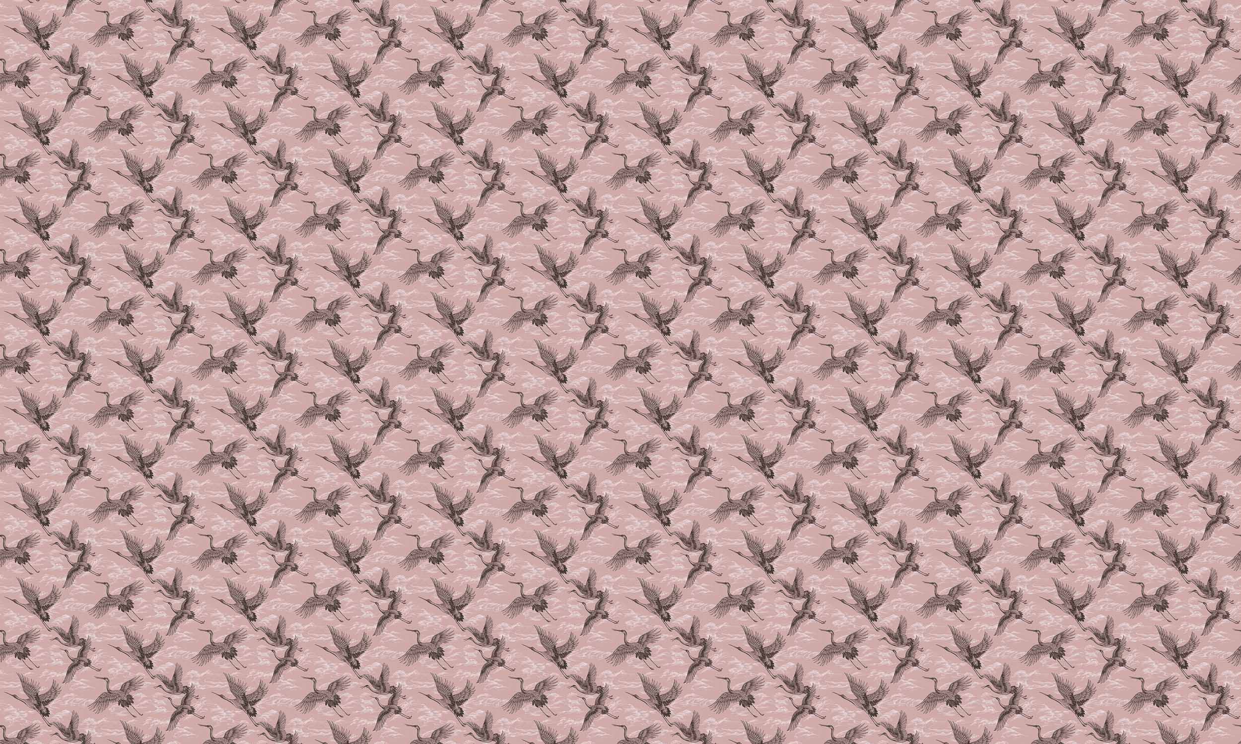 Imperial Ibis, Rose, Coordonne 5mp / rola 3
